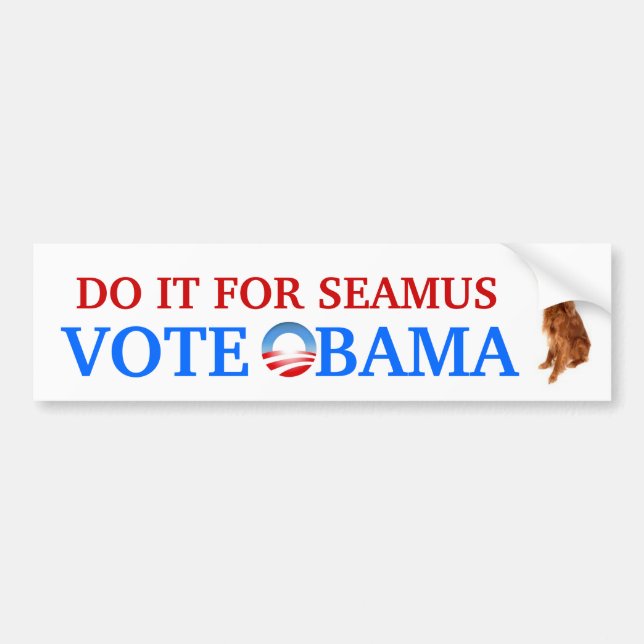 Do it for Seamus bumper sticker (Front)