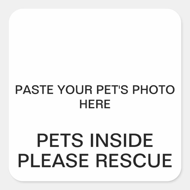 DO IT YOURSELF PET SAFETY SQUARE STICKER (Front)
