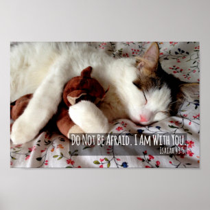 Do Not Be Afraid Cat Sleeping With Teddy Bear Poster