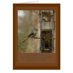 do not be afraid God will provide bird on feeder