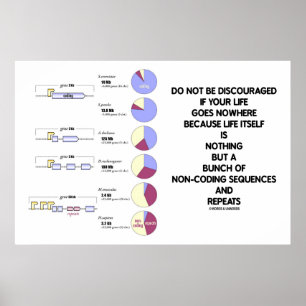 Do Not Be Discouraged Life Non-Coding Sequences Poster