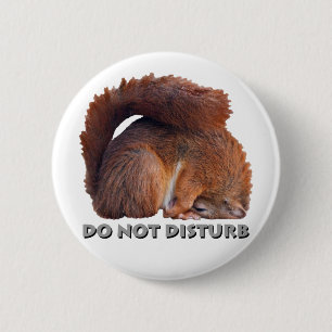 Do Not Disturb Badge