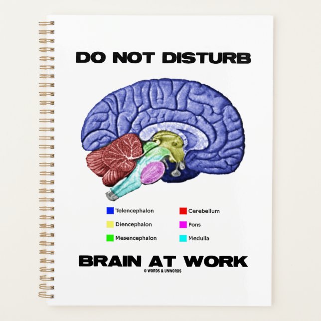 Do Not Disturb Brain At Work Anatomical Advice Planner (Front)