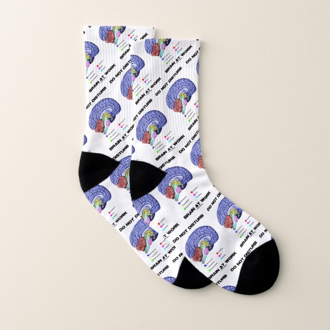 Do Not Disturb Brain At Work Anatomical Advice Socks (Pair)