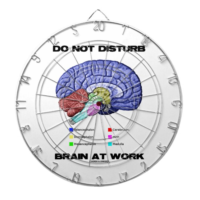 Do Not Disturb Brain At Work (Anatomical Humour) Dartboard (Front)