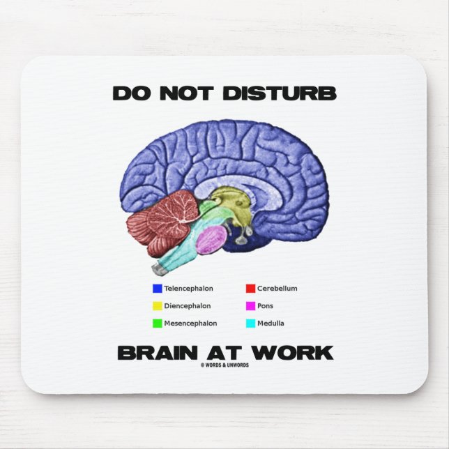 Do Not Disturb Brain At Work (Anatomical Humour) Mouse Pad (Front)