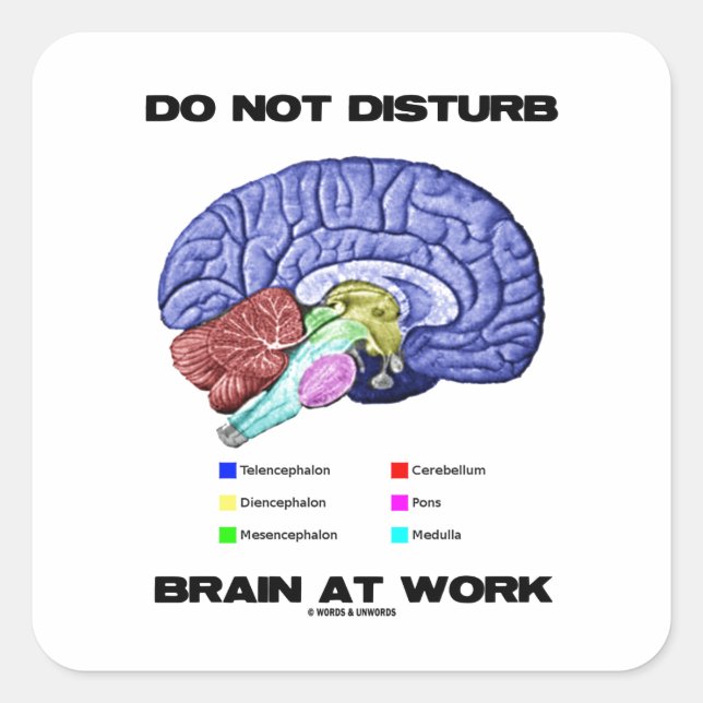Do Not Disturb Brain At Work (Anatomical Humour) Square Sticker (Front)