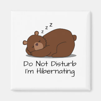 Do Not Disturb Funny Sleeping Bear Magnet