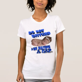 DO NOT DISTURB, I AM HAVING A NAP T-Shirt