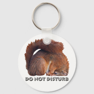Do Not Disturb Keyring