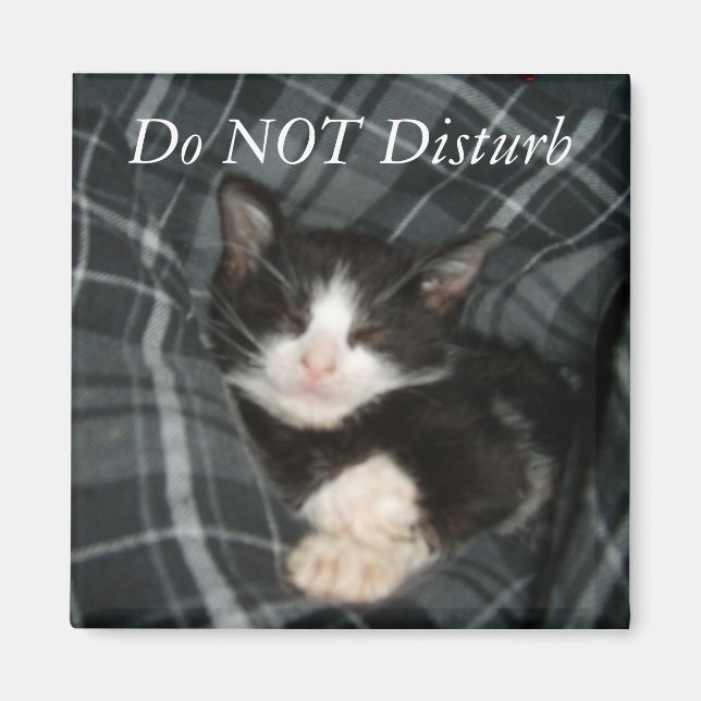 Do NOT Disturb Magnet (Front)