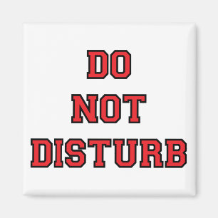 Do Not Disturb Magnet