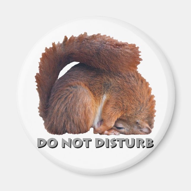 Do Not Disturb Magnet (Front)
