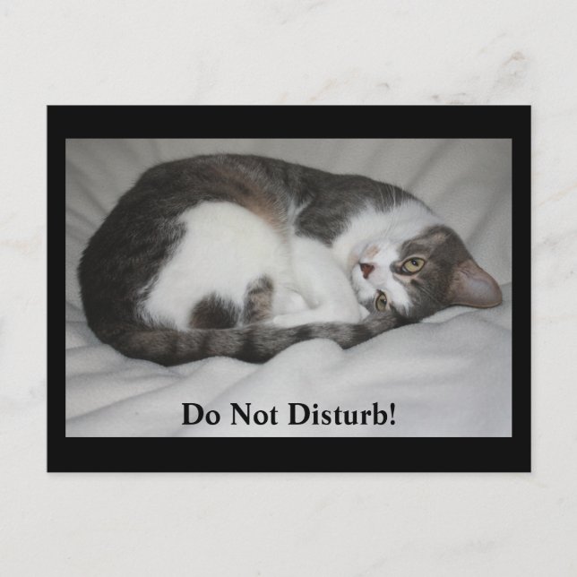 Do Not Disturb! Postcard (Front)