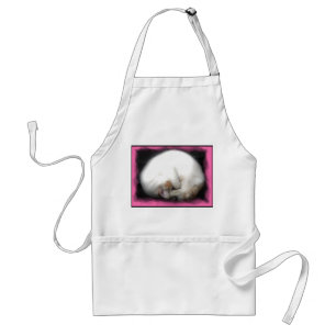 Do not Disturb the Cat Aprons