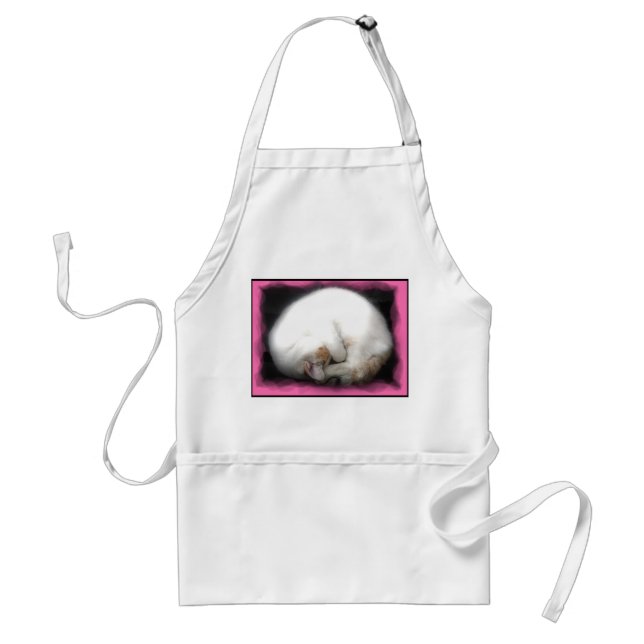 Do not Disturb the Cat Aprons (Front)