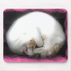 Do not Disturb the Cat Mausepad Mouse Pad