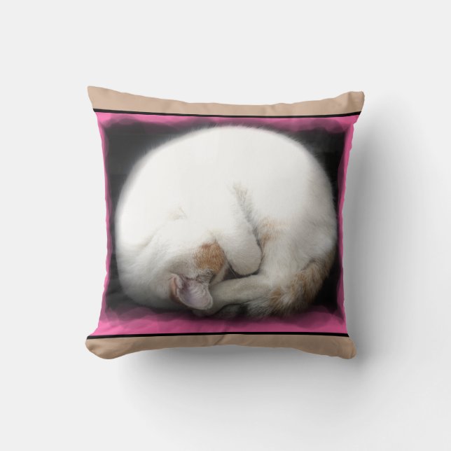 Do not Disturb the Cat Throw Pillow (Front)
