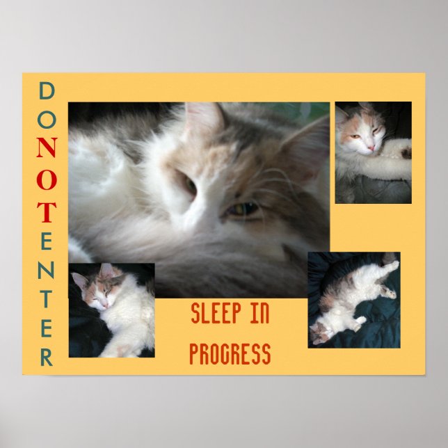 DO NOT ENTER..... POSTER (Front)