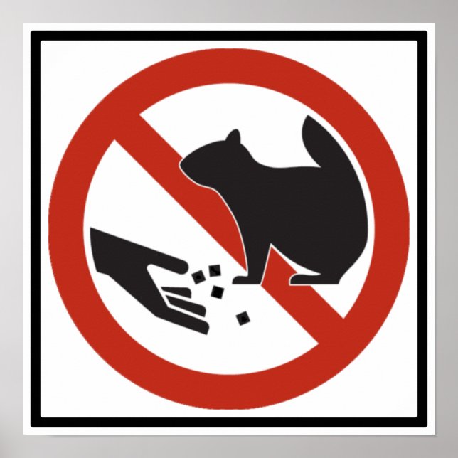 Do Not Feed the Squirrels Highway Sign (Front)