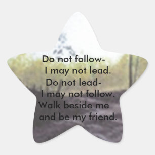 DO NOT FOLLOW I MAY NOT LEAD STICKER