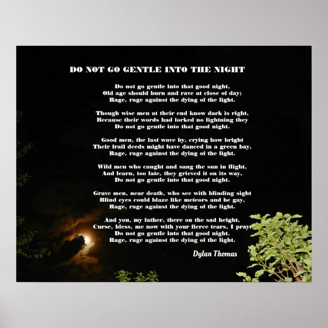 DO NOT GO GENTLE INTO THE NIGHT POSTER (Front)