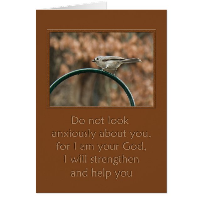 do not look anxiously about you bird on arch (Front)