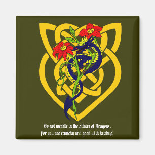 Do not meddle in the affairs of Dragons. Magnet