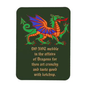 Do not meddle in the affairs of Dragons Magnet