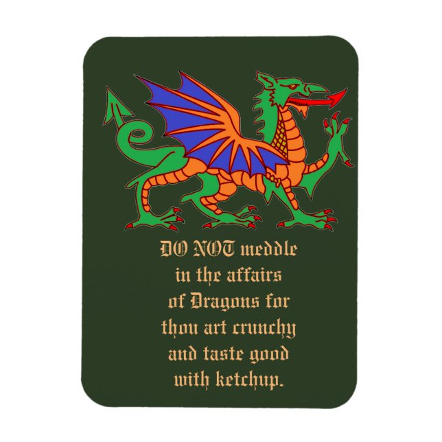 Do not meddle in the affairs of Dragons Magnet (Vertical)
