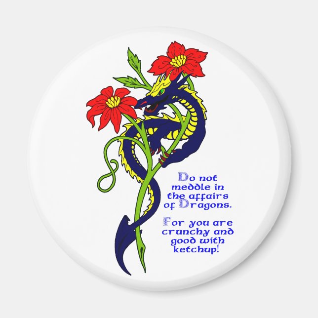 Do not meddle in the affairs of Dragons. Magnet (Front)