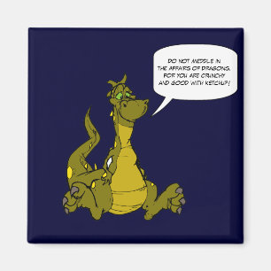 Do not meddle in the affairs of Dragons. Magnet