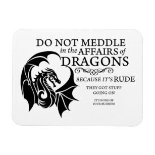 Do Not Meddle With Dragons Flexible Photo Magnet