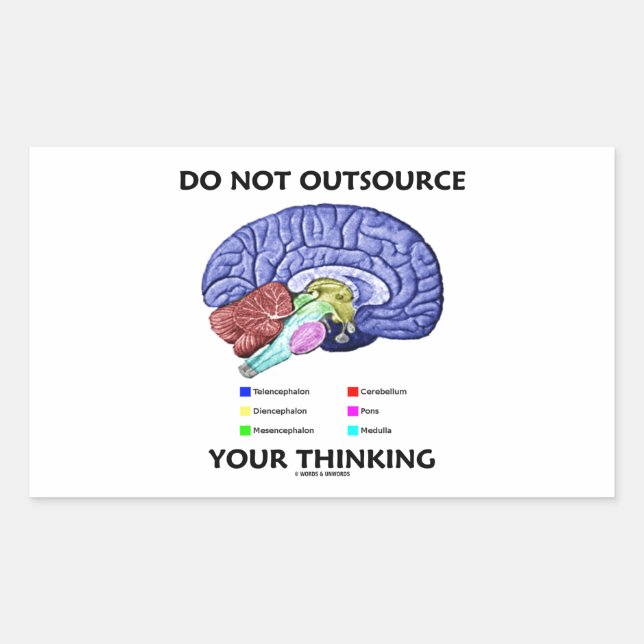 Do Not Outsource Your Thinking (Brain Anatomy) Rectangular Sticker (Front)