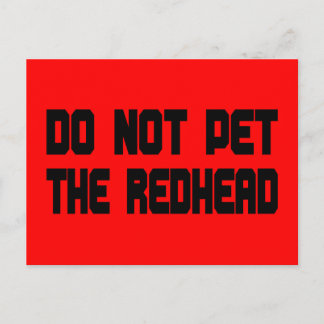 Do Not Pet The Redhead Postcard