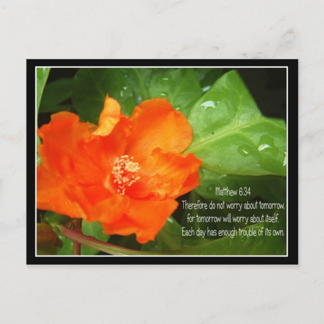 Do Not Worry About Tomorrow Postcard (Front)