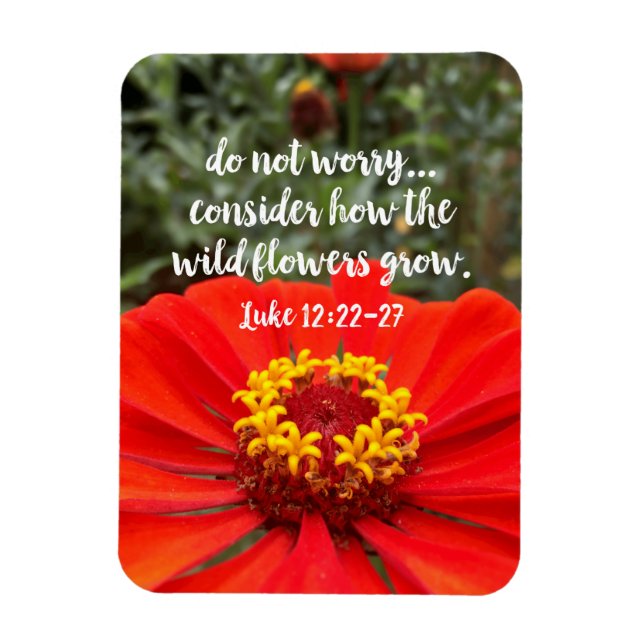 Do Not Worry Consider Wild Flowers Christian Bible Magnet (Vertical)