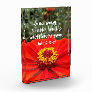Do Not Worry Consider Wild Flowers Christian Bible Photo Block