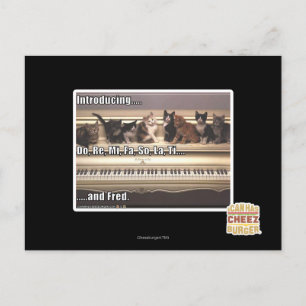 Do, Re, Mi, Fa, So, La, Ti, Fred Postcard