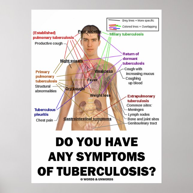 Do You Have Any Symptoms Of Tuberculosis? Poster (Front)