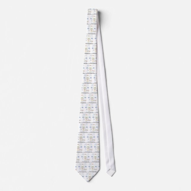 Do You Know About Circulation In Macroeconomics? Tie (Front)