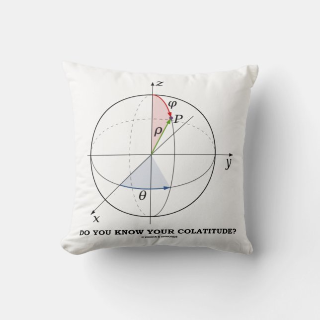 Do You Know Your Colatitude? Geometry Attitude Cushion (Front)