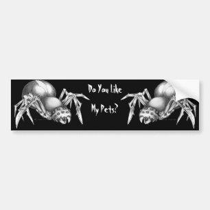 Do You Like My Pet...Spiders? Bumper Sticker