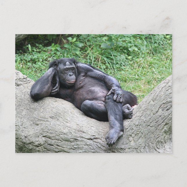 Do you think I'm sexy? Postcard (Front)
