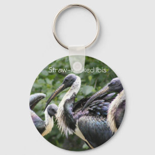 Do You Zoo? Straw-necked Ibis Key Ring