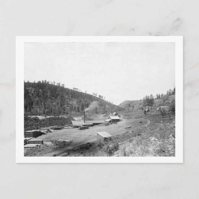 Dobbin's Saw Mill in the Black Hills Photograph Postcard (Front)