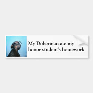 Doberman and honour student humour bumper sticker
