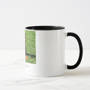 Doberman:  Beauty, Grace and Power Mug