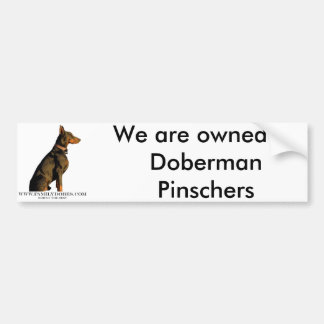 doberman bumper sticker