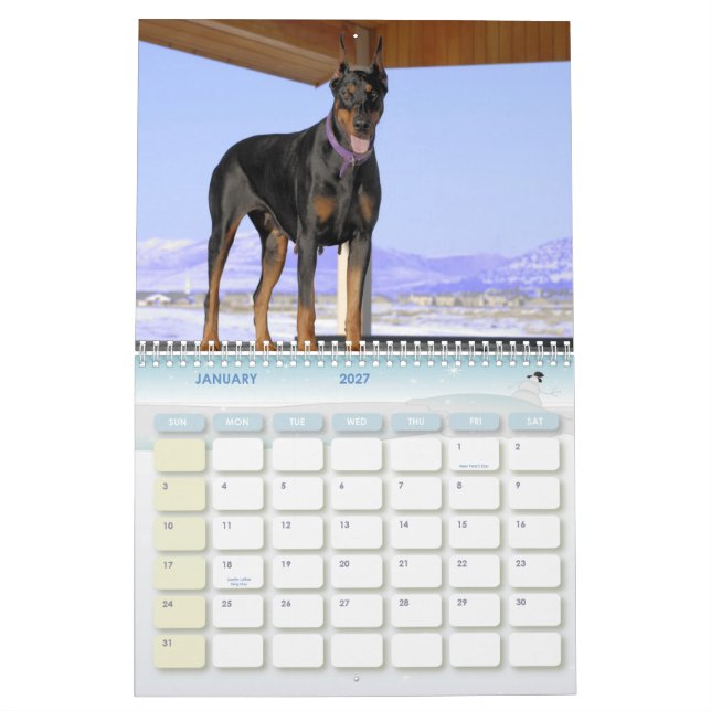 Doberman Calendar (Jan 2027)